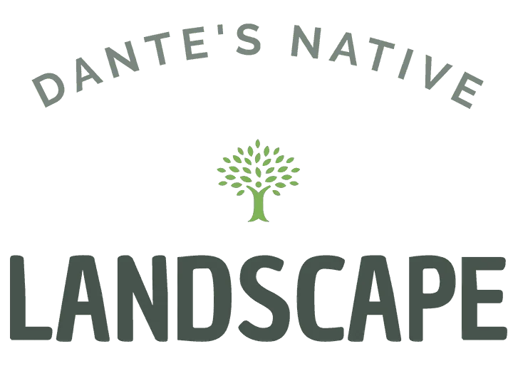 Dante's Native Landscape